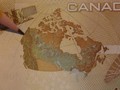#10: Point of the rearsite from the 100 Can. Dollar note