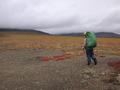#9: Fall Colors on tundra as we head back to Wright Pass