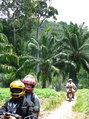 #11: Riding in the luxuriant equatorial vegetation