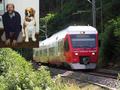 #10: Train of the St. Bernard-Express and Dr. Werner with a Saint-Bernard dog
