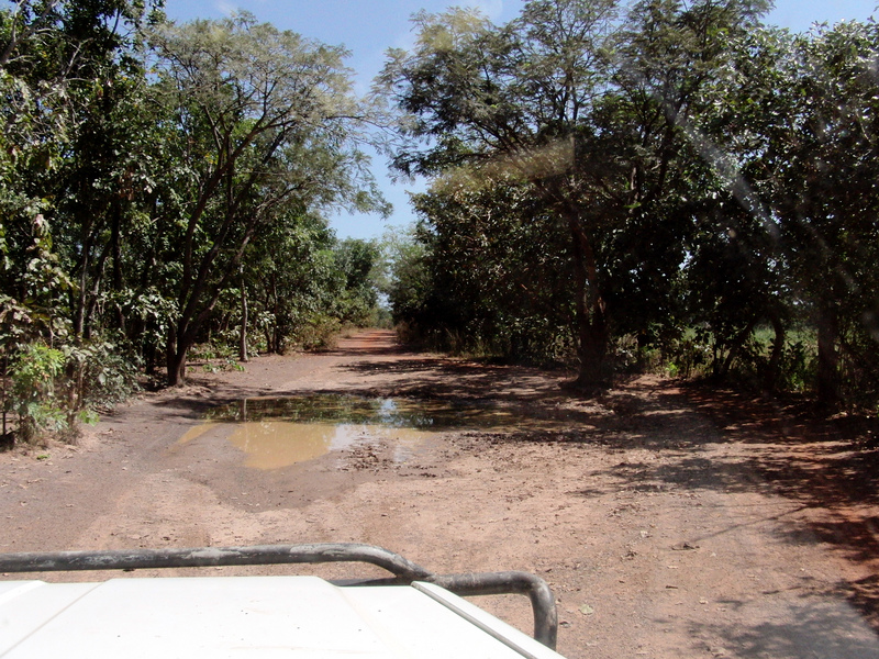 Dirt road between Confluence and M'Benge 
