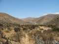 #9: View down Quebrada La Higuera between the Confluence and Carrizal Bajo