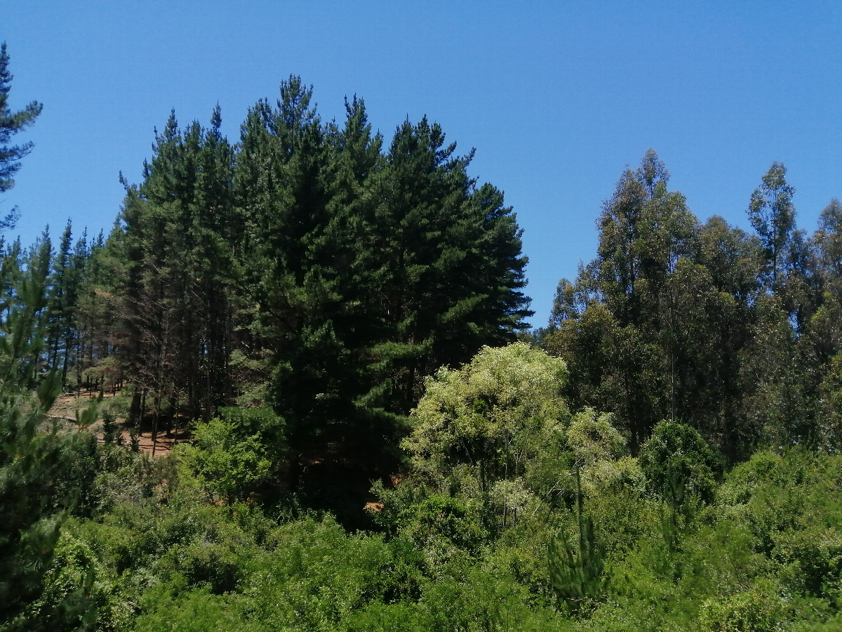 General view
