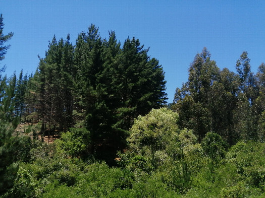#1: General view