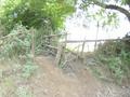 #7: Gate that leads to forestry reserve perimeter trail