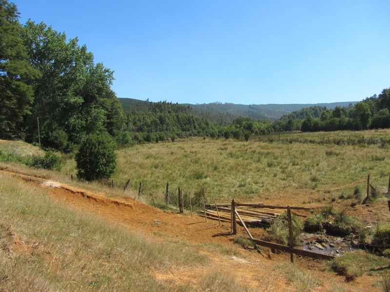 View to the meadow where Confluence is located