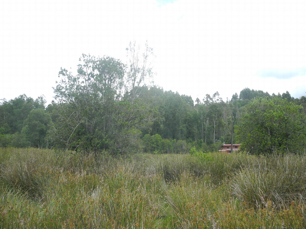 View to the west
