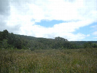 #4: View to the south