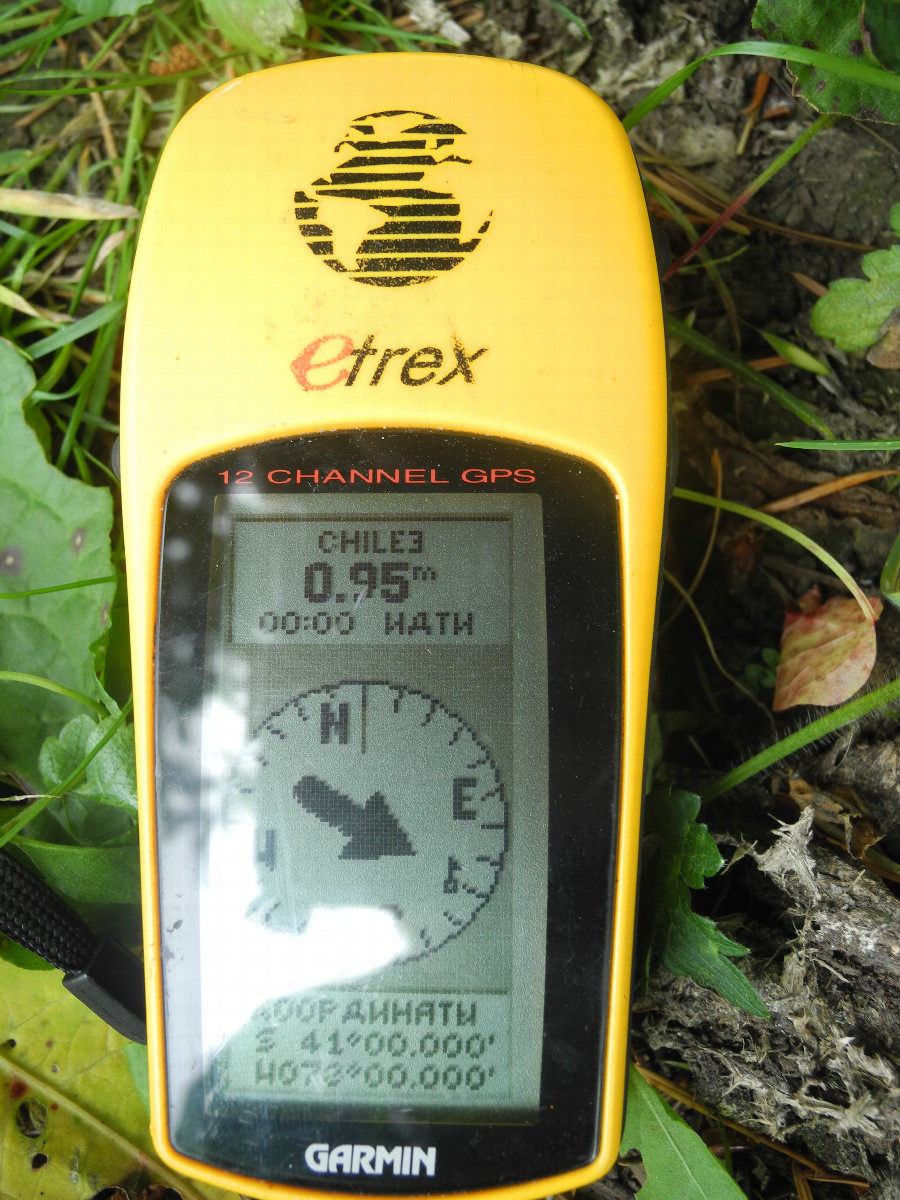 GPS reading