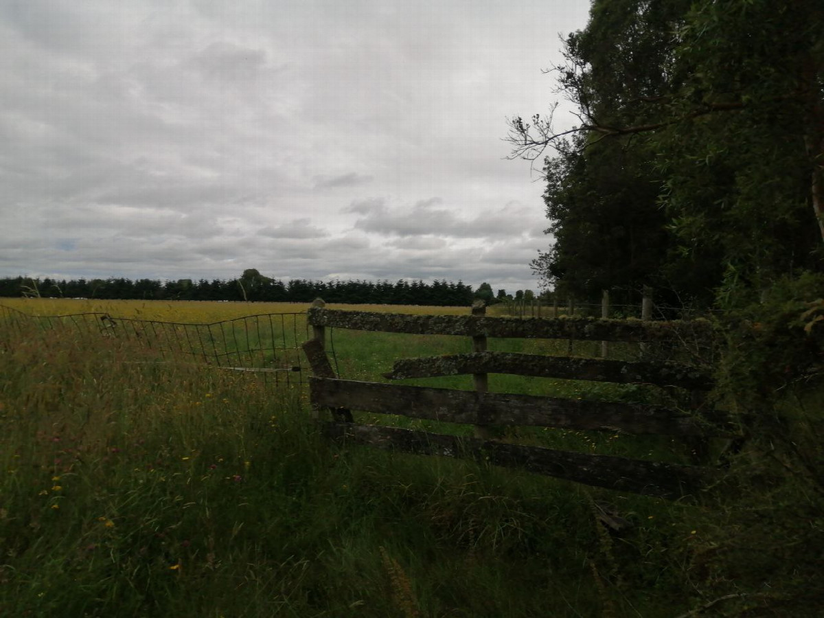 A hole in the fence