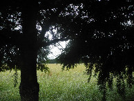 #2: View to the north