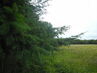 #3: View to the east