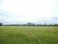 #4: View to the south
