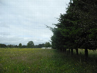 #5: View to the west