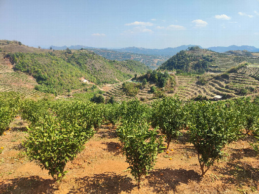 #1: the general area