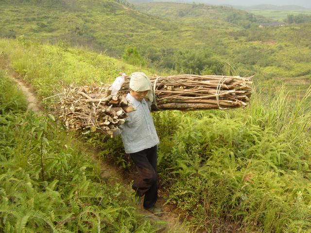 Backbreaking work: carrying wood out of the mountains