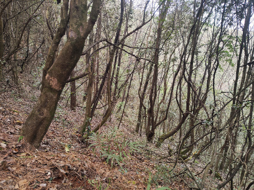 #1: the general area