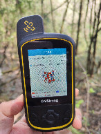 #6: GPS view