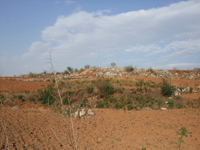 View East.