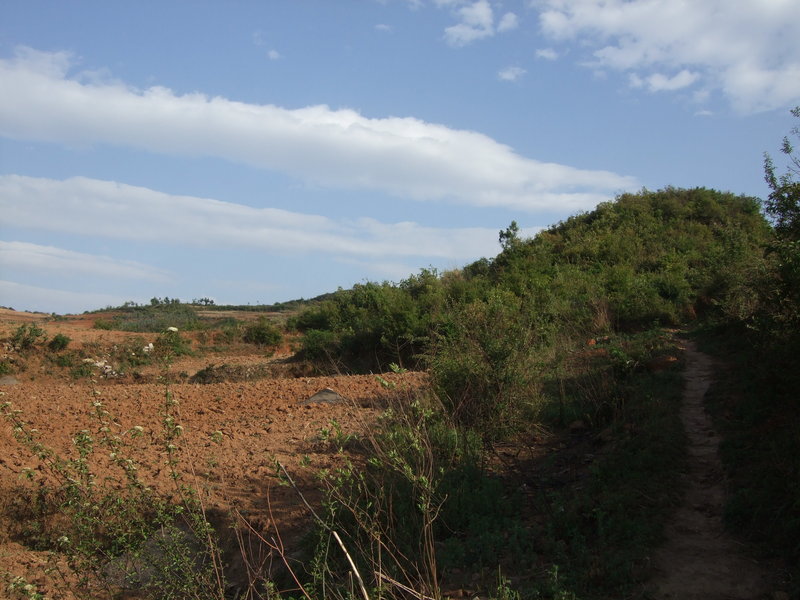 View South.