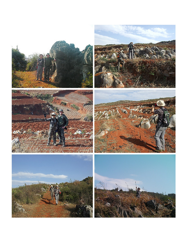 Hiking scenes: red soil & rocks, strangely lined up in rows. 