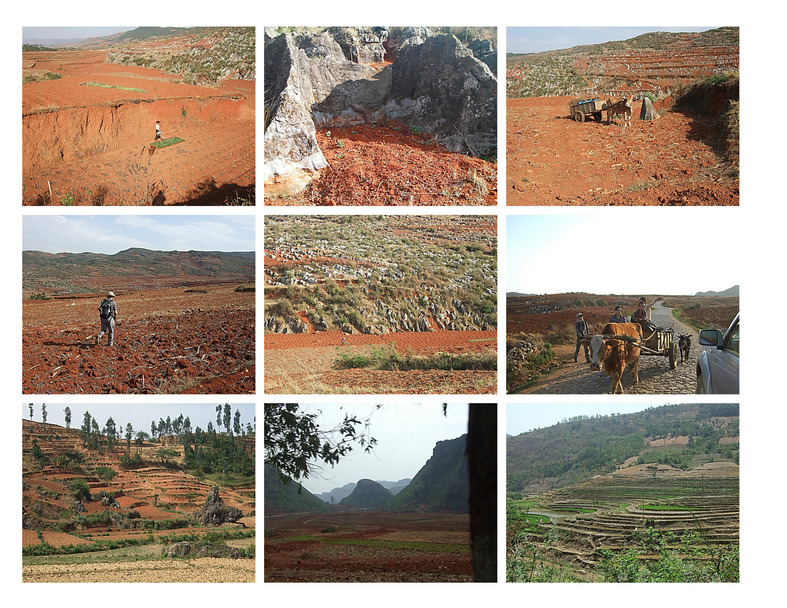 Dry fields and small patches of green; famous Yunnan terraces.