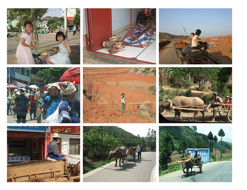 Local people: girls playing outside the restaurant with cow's head; ethnic minorities in traditional clothing; water buffalo transport.