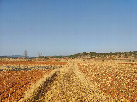 #1: the general area