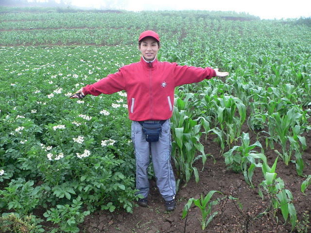 Ah Feng standing between fields of potatoes and corn.
