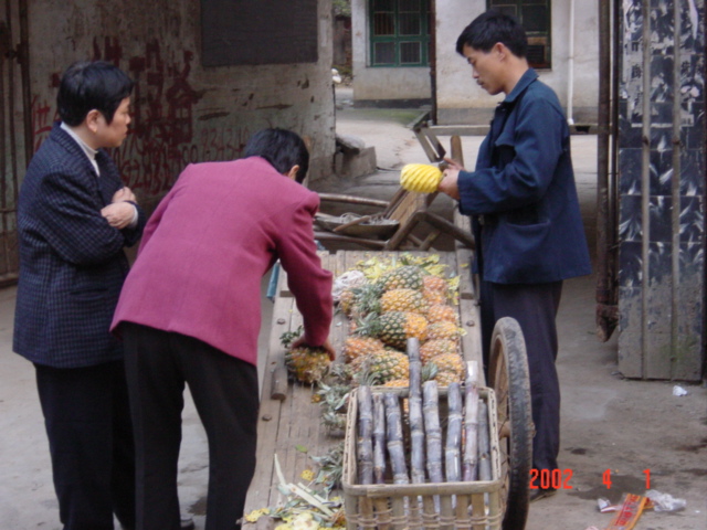 Street hawker selling pineapples and sugar cane