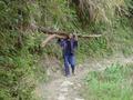 #3: Peasant carrying two large logs on his shoulder