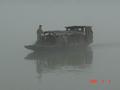 #2: The ferry emerges from the mist
