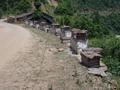 #3: Beehives on road to Maozhushan