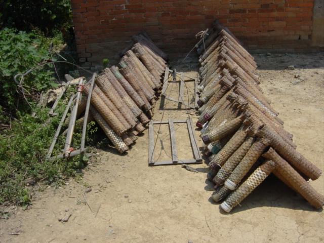 Bamboo tubes used in the rearing and/or capture of freshwater eels