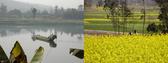 #8: Boat on the Fu River and fields full of flowering rapeseed / 府河船家和灿烂的油菜花