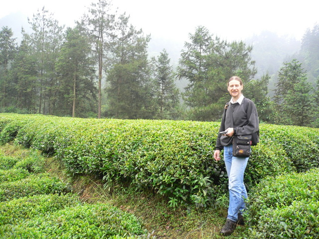 We wound our way along little paths through tea plantations.