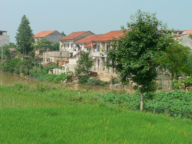 Rice paddy and village.