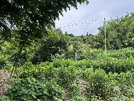 #4: View to North