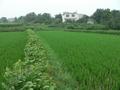 #4: Approaching Jiangge Village from the south.