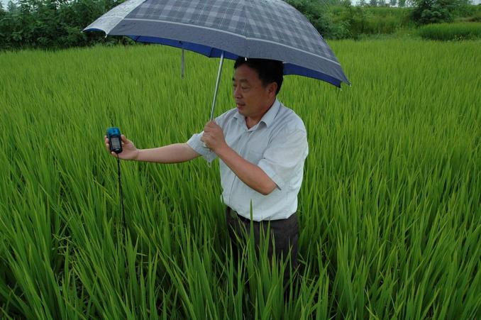 Dr. Song getting the true zero reading in the rice paddy
