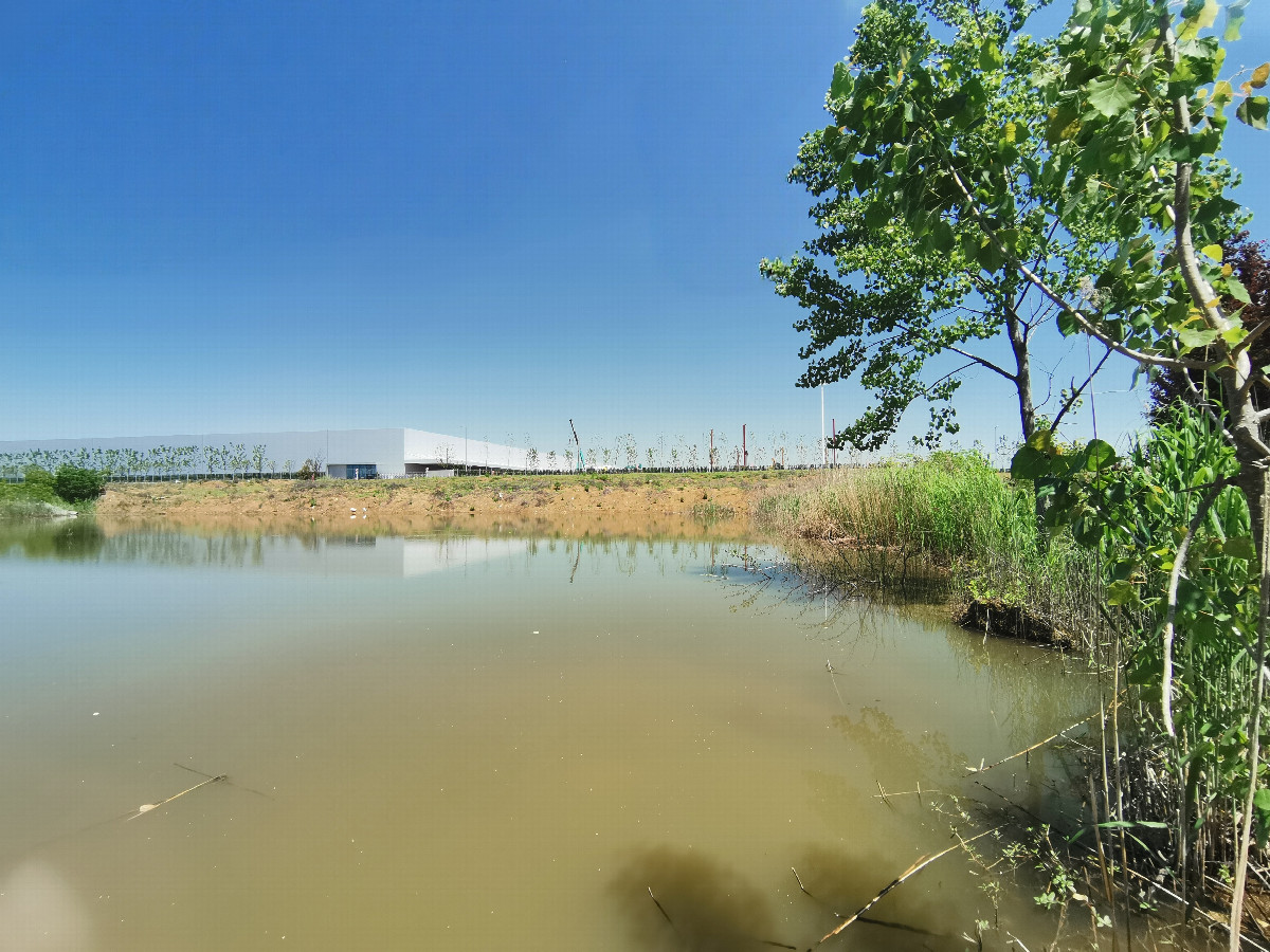 View Northeast - Panoramic view of the confluence