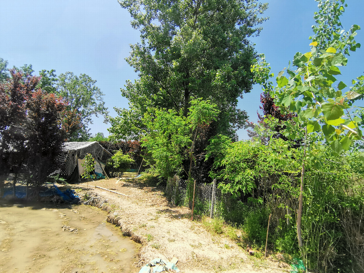View West
