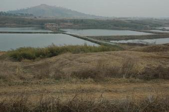 #1: Confluence point 25 meters away on a small hill overlooking the fish ponds