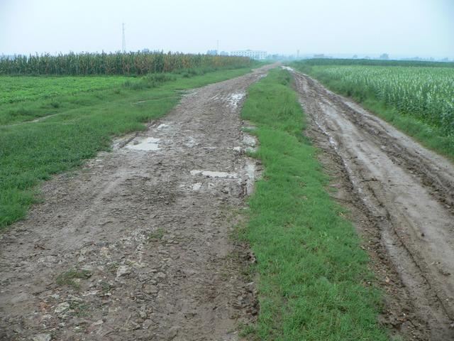 Muddy dirt road, looking south towards Gupei.