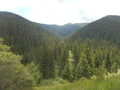 #9: View into the confluence valley from 1.2 km