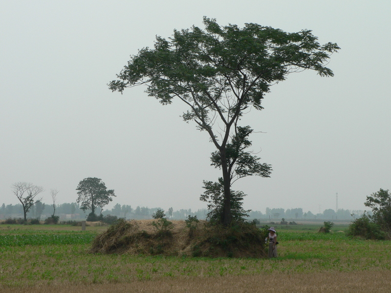 Ah Feng next to the tree and mound, SE of the confluence