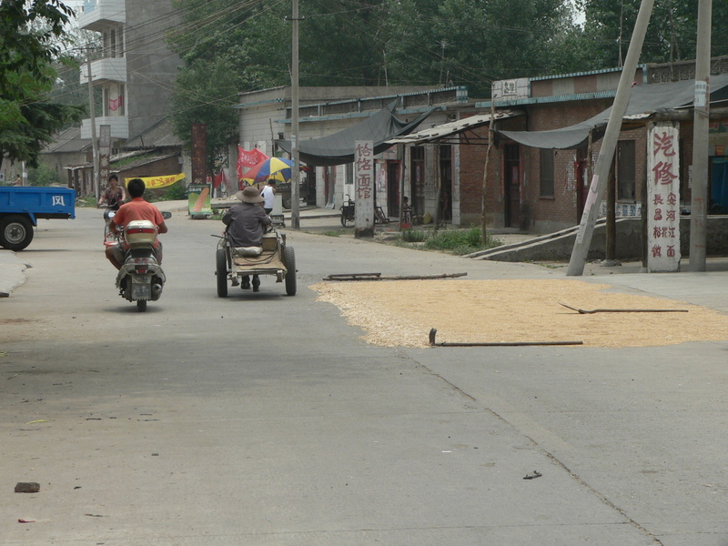 Wheat drying on the road in Lùzhài Village