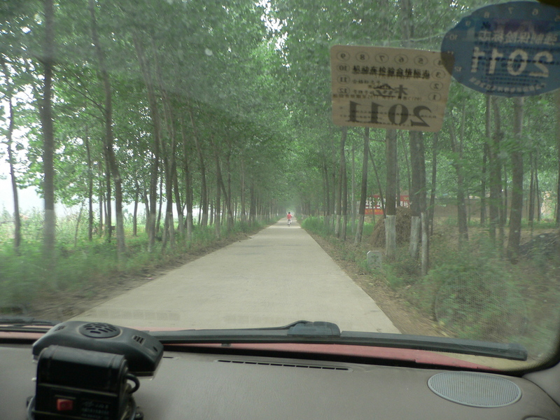 Quiet, tree-lined road to Zhanghang Village