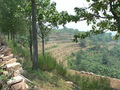 #10: Terraces on the opposite side of the road