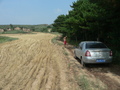 #2: Wheat field 200 m from the confluence